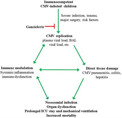 The Potential Harm of Cytomegalovirus Infection in Immunocompetent Critically Ill Children